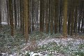 Wandertag 2017 - 040